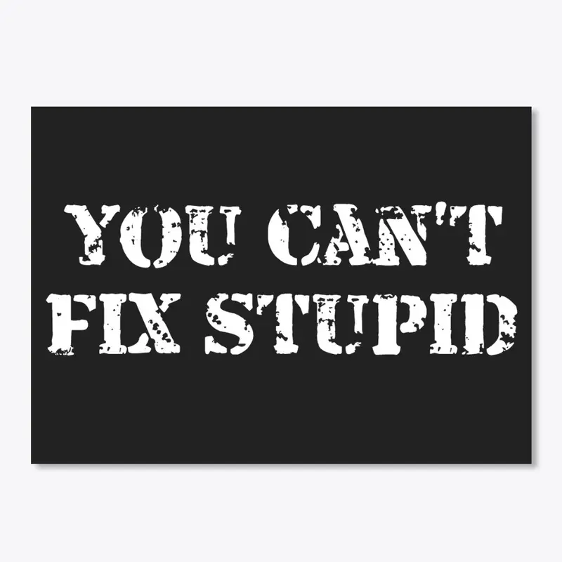 You Can't Fix Sticker